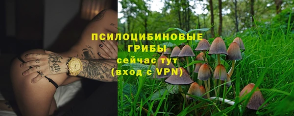 марки lsd Дмитриев