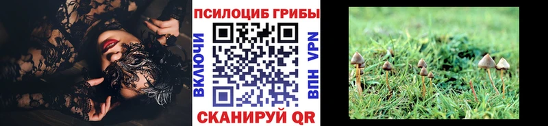 Псилоцибиновые грибы Cubensis  Купить  Сосновка 